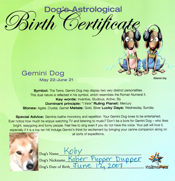 Cat & Dog Birth Certificates